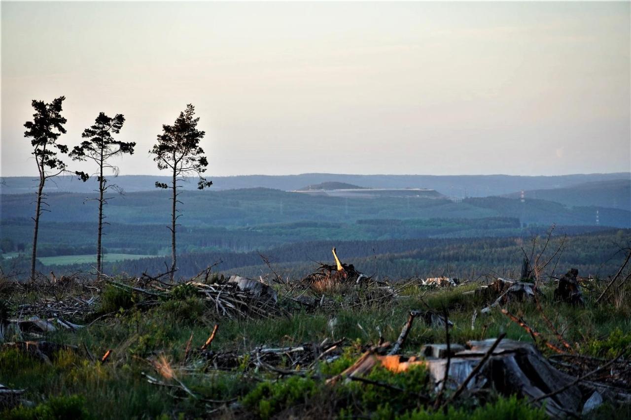 "Petite Perle En Haute Ardenne" Avec Vue Sur La Vallee, Cabine Infra-Rouge Et Bain Balneo Lierneux Eksteriør bilde